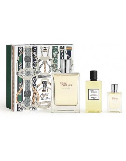 HERMES TERRE EAU GIVRE EDP 100ml + 12.5ml EDP + 80ml SG за мъже HERMES TERRE EAU GIVRE EDP 100ml + 12.5ml EDP + 80ml SG за мъже