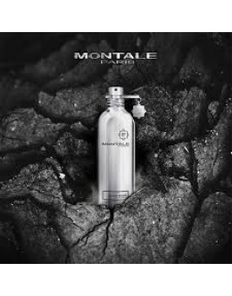 MONTALE BLACK MUSK EDP 100ml Унисекс Б.О. MONTALE BLACK MUSK EDP 100ml Унисекс Б.О.