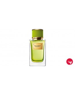 Dolce & Gabbana VELVET MUGHETTO EDP 100ml Унисекс Б.О.
